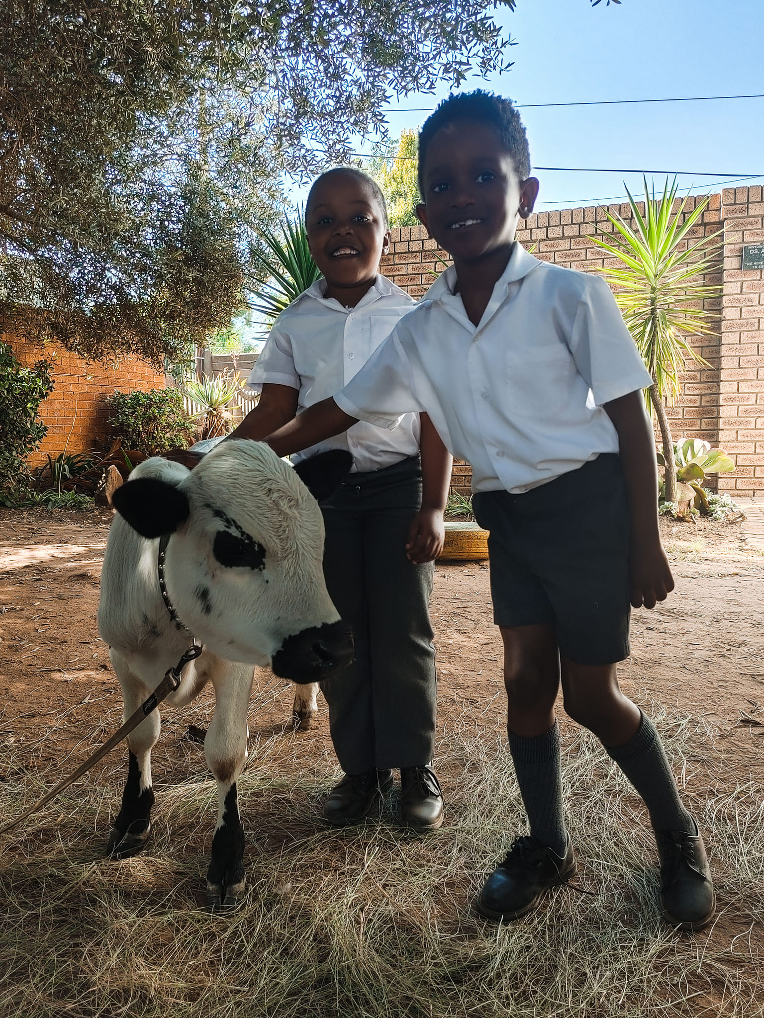 Destiny Independent School Kempton Park : High School