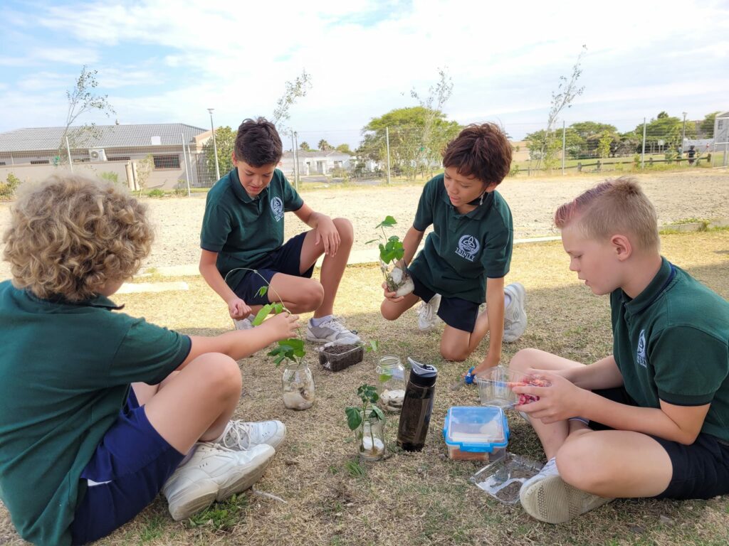 Trinity Grammar Christian Primary School